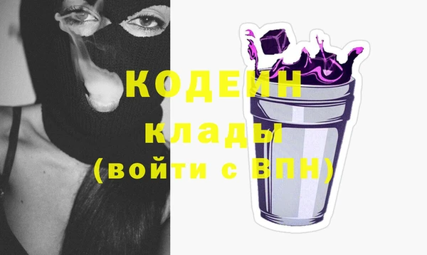 бошки Няндома