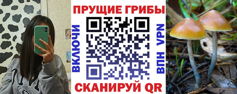 хочу наркоту  Нахабино  Галлюциногенные грибы ЛСД 